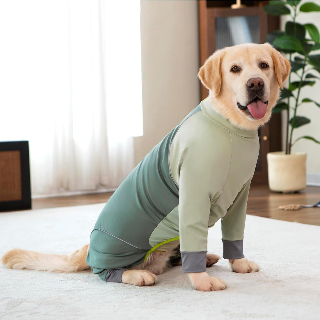 Dog Onesie Coat - Water-Repellent & Stretchable
