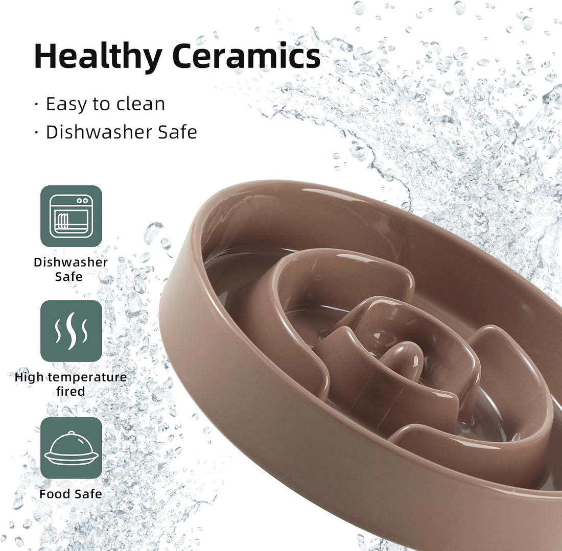 Havniva Elevated Slow Feeder Dog Bowls