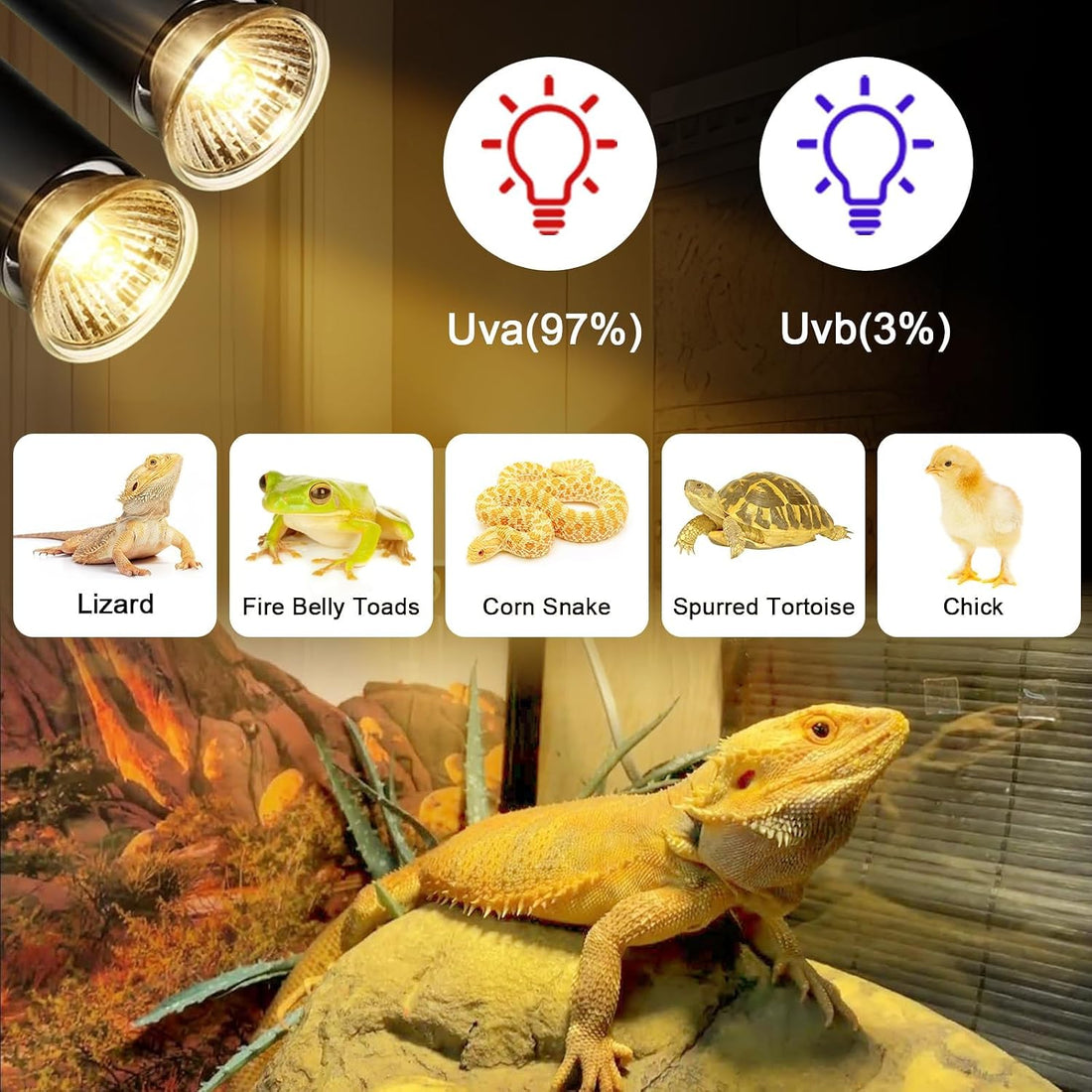 50W Uva Light Bulbs 2 Packs, Turtle Heat Lamp for Reptile