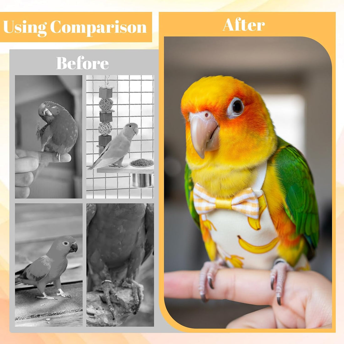 6Pcs Bird Diaper - Reusable Parrot Diapers with Waterproof Inner