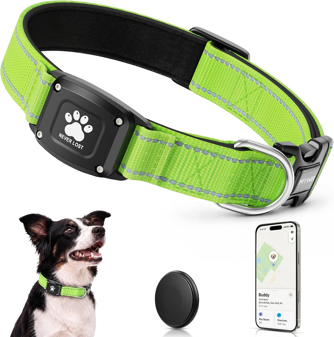 GPS Dog Collar with Tracker, Waterproof, No Monthly Fee, Blue, L