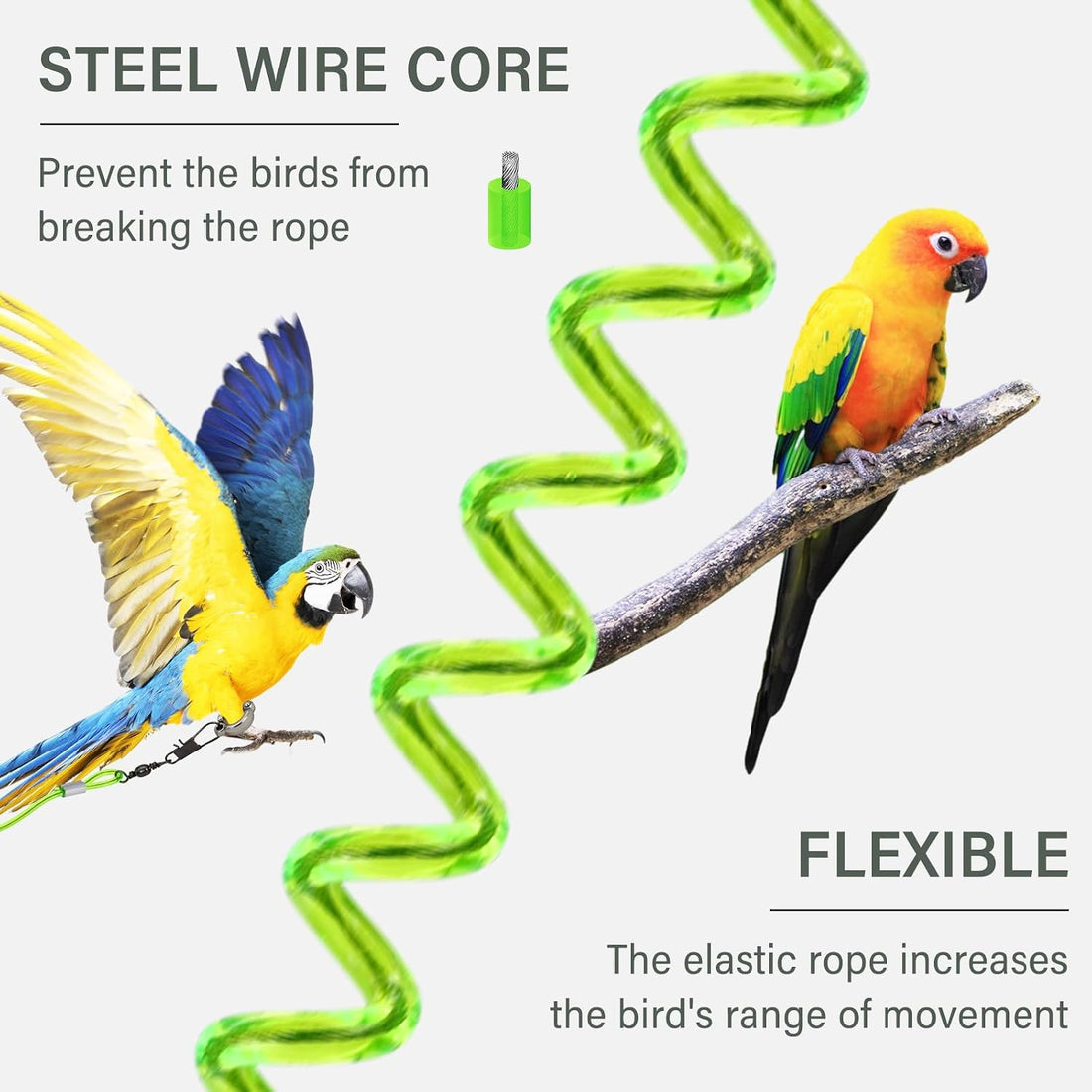 Parrot Flying Leash, 16.4 ft Training Rope with 3 Size Bird Foot Ring