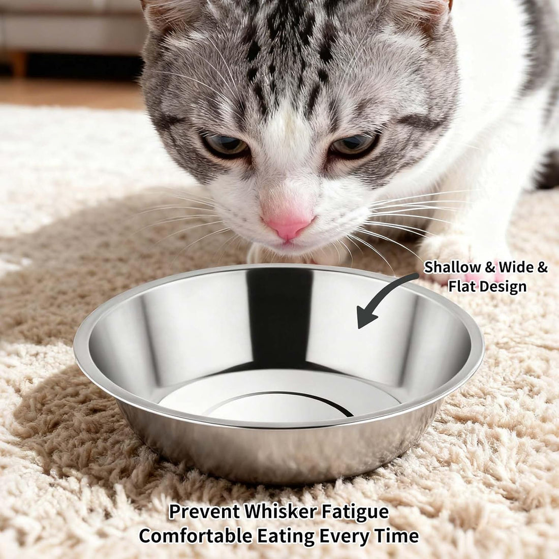 Tifanso 6PCS Stainless Steel Cat Bowls Dishes