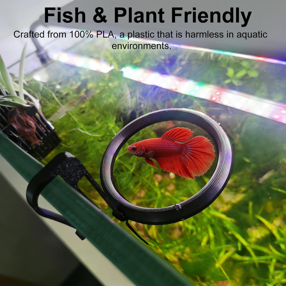 Clip On Fish Feeding Ring Self-Adjusting to Water Level for Betta