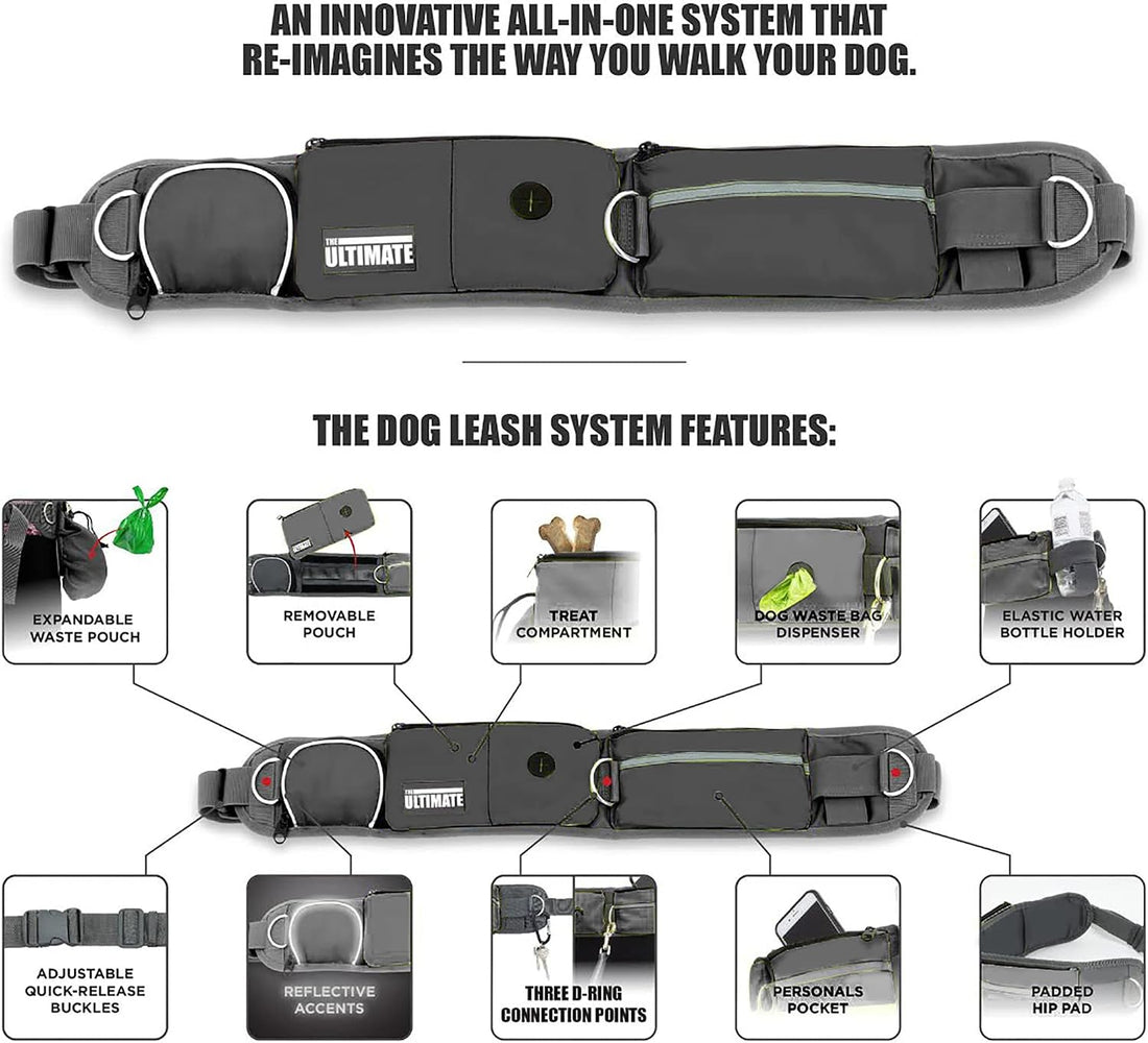 TAKSIN The Ultimate Hands Free Dog Leash System for Walking Running