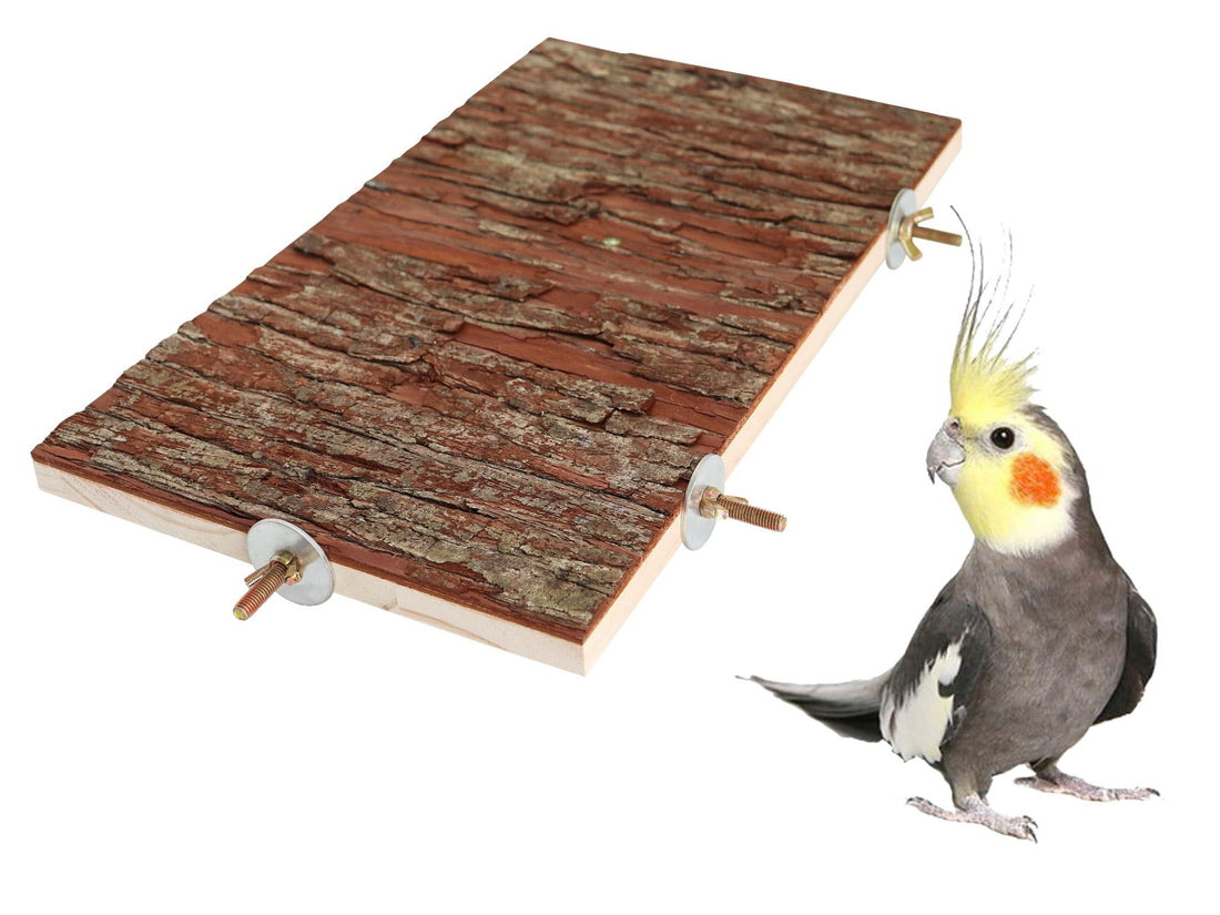 13.6 × 7.9 inch Large Bird Perch Stand Platform