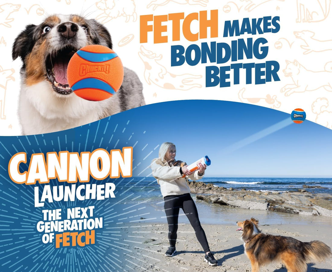 Chuckit! Cannon 16S Dog Ball Launcher, 16 Inch Size