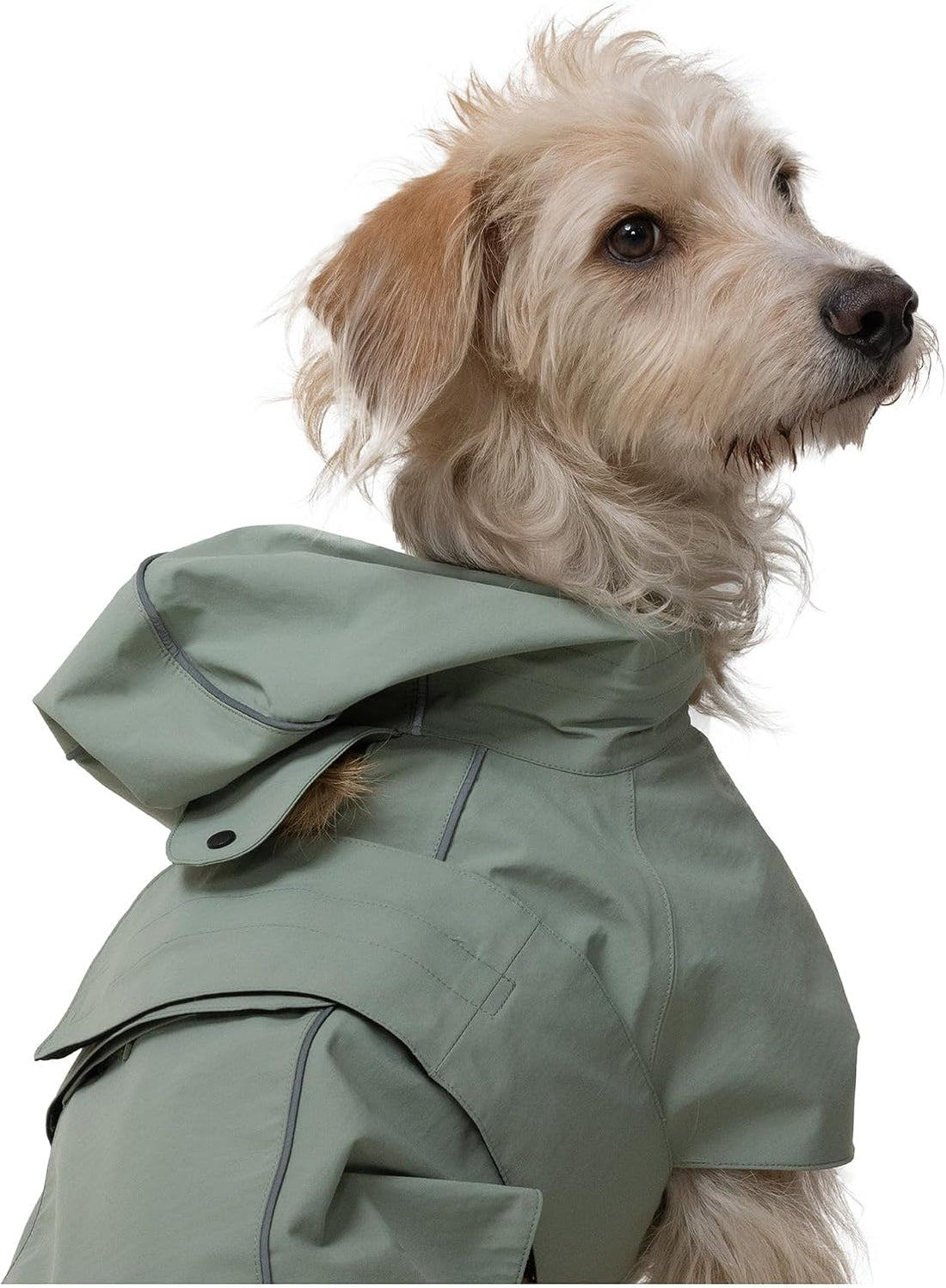 Weatherman Dog Raincoat – Adjustable, Fits All Breeds, Size S (Sage)
