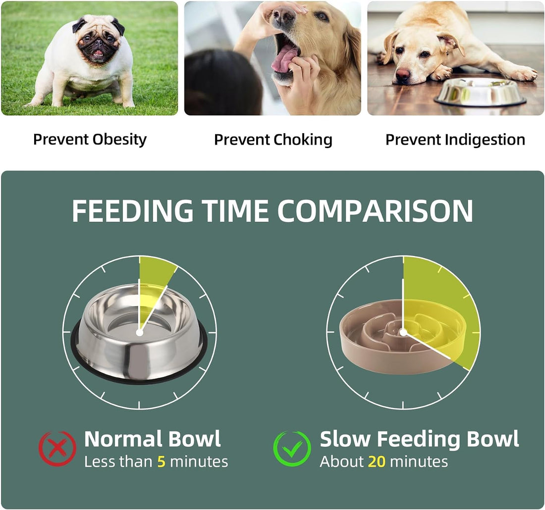 Havniva Elevated Slow Feeder Dog Bowls
