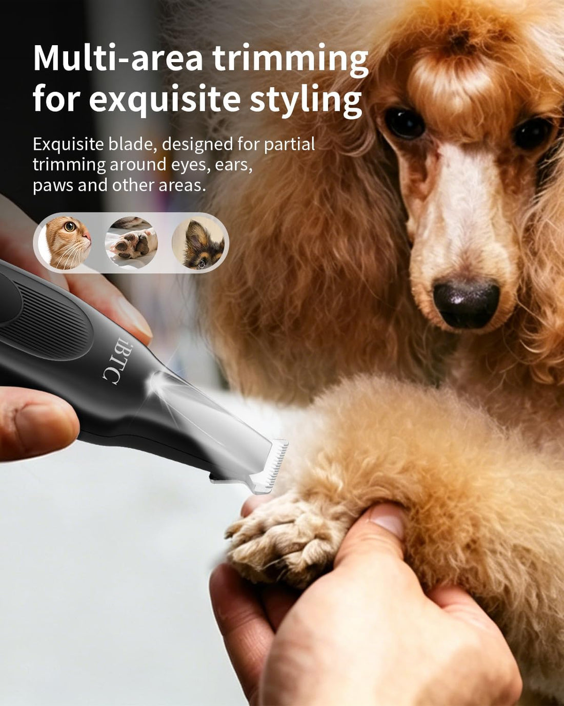 iBTC Professional Dog Grooming Clippers Kit