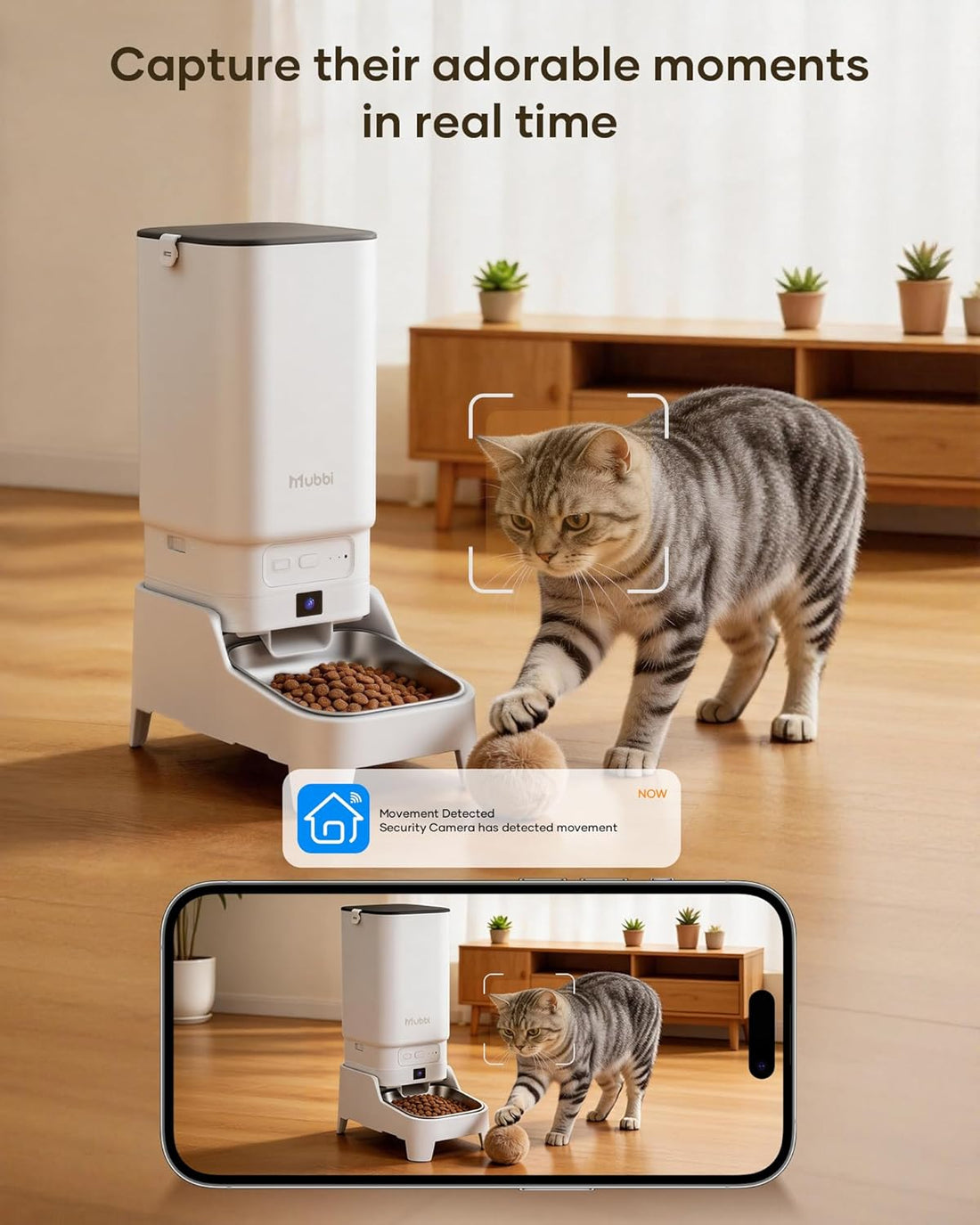 Automatic Cat Feeder with Camera