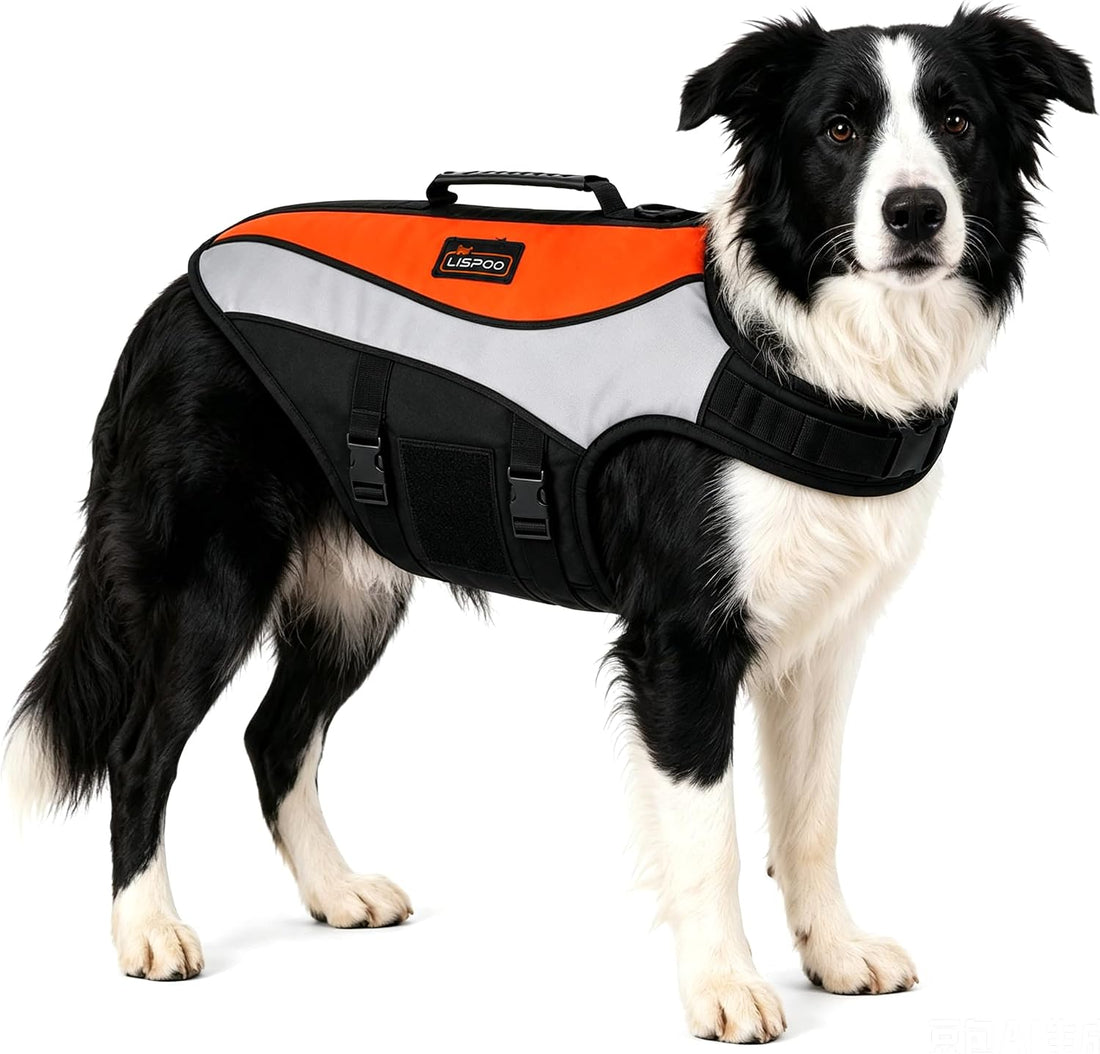 Dog Life Jacket for Swimming & Boating, Orange Black, M