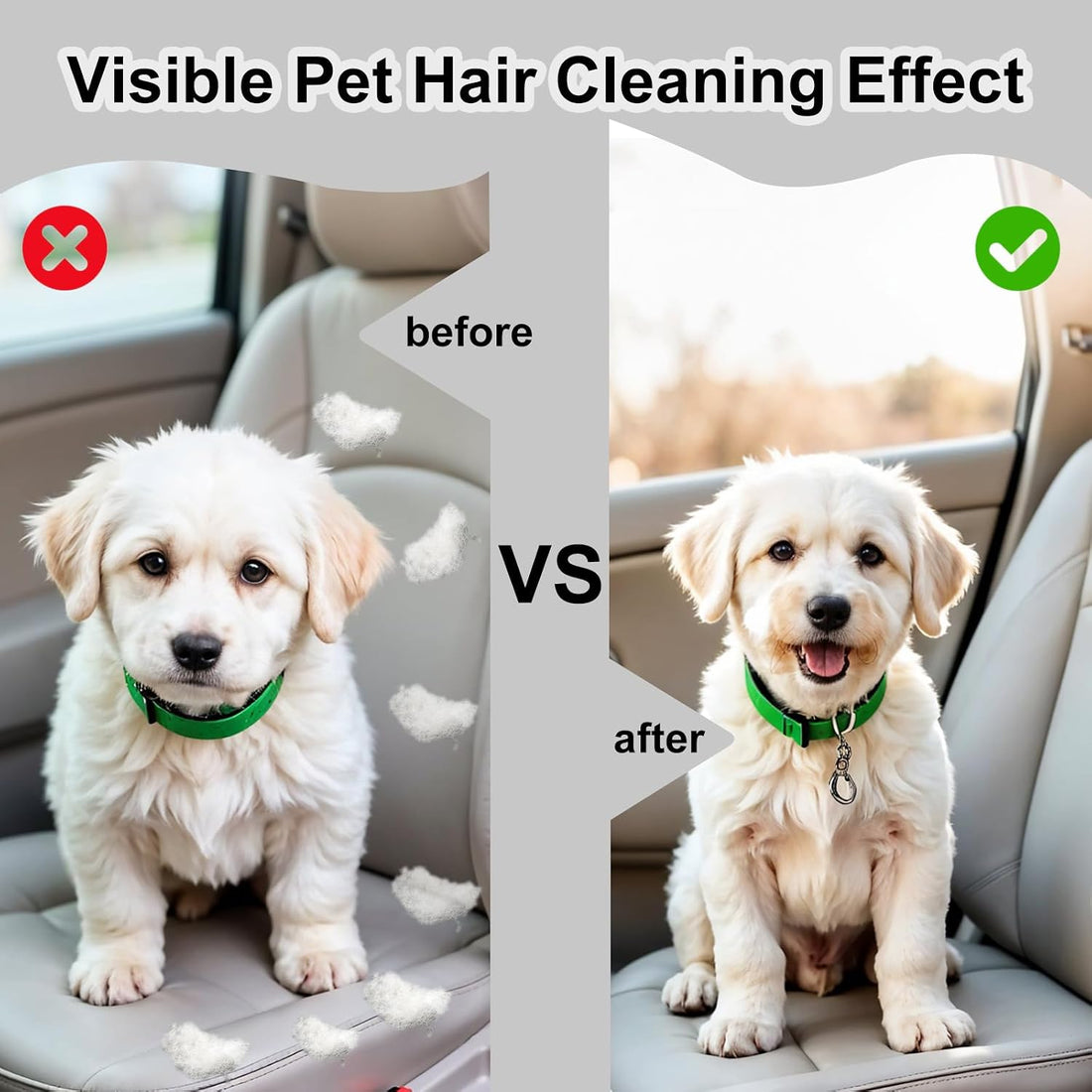 InnoHHustle 2 Pcs Pet Hair Block
