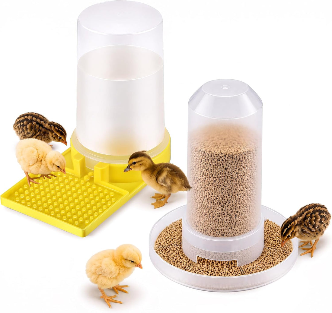 2 Pack Quail Water Feeder, Anti Drowning Design, 400ml