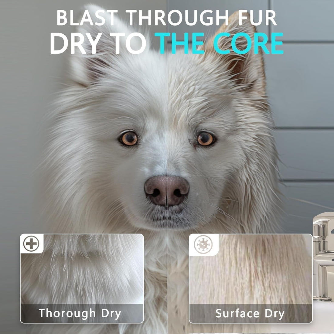 Blanlody High Velocity Dog Hair Dryer 5.2HP/ 3800W Professional Dogs
