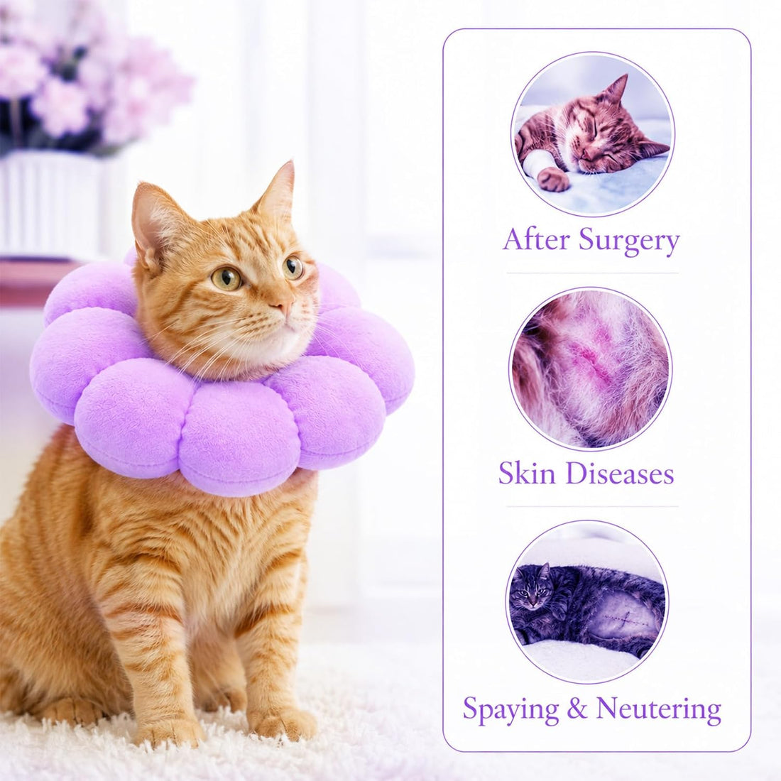 Cat Cone Collar, Comfy Cat Recovery Elizabeth Collar to Stop Licking