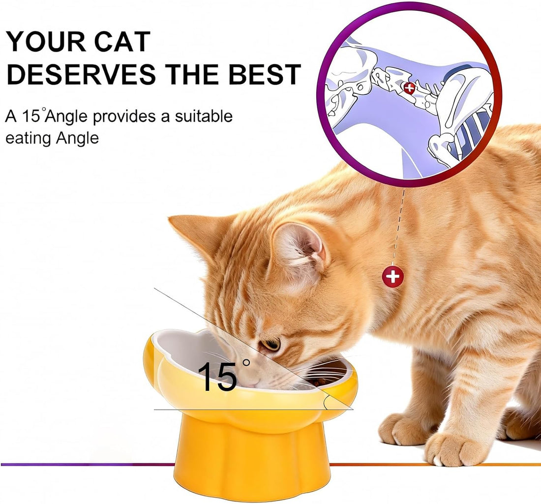 Ceramic Raised Slow Feeder Cat Bowl,Cat Slow Feeder