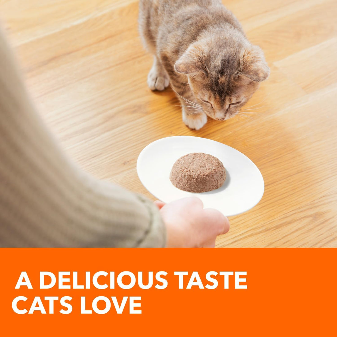 IAMS Perfect Portions Healthy Kitten Grain Free Wet Cat Food
