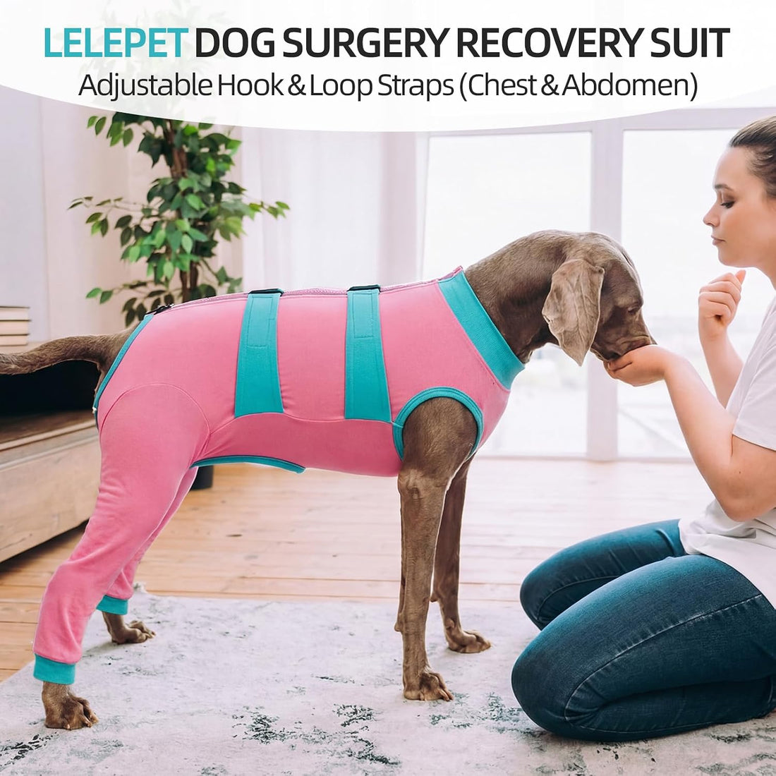Lelepet Dog Surgery Recovery Suit for Rear Legs