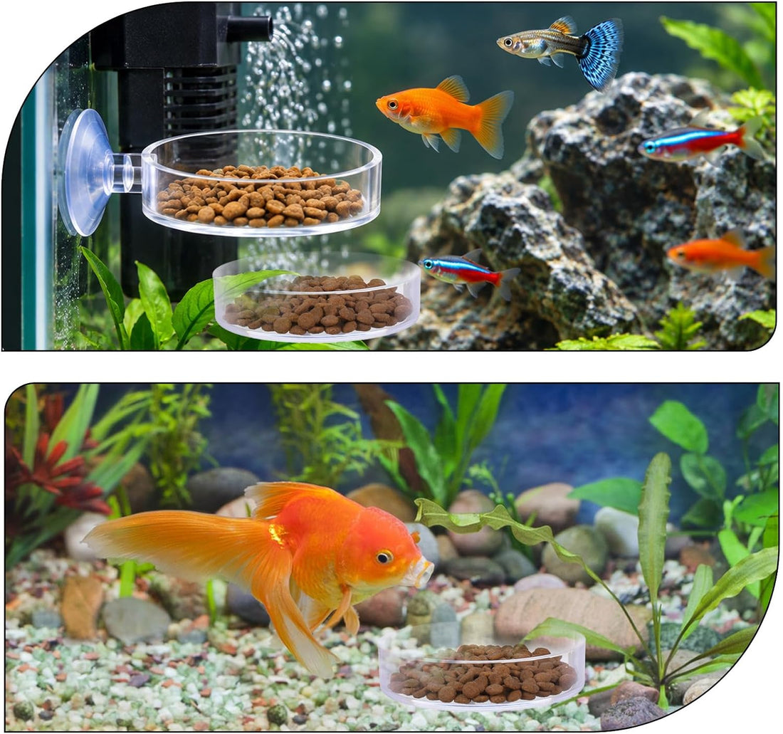 Shrimp Feeding Dish with Suction Cup, Fish Tank Feeder Dishes