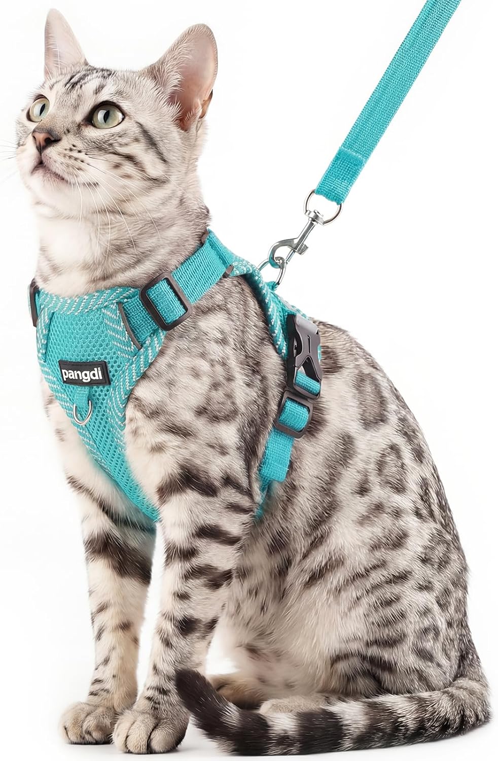 Cat Harness and Leash Set, Soft Mesh Cat Vest, Turquoise, XL