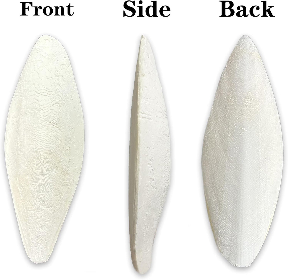 Clyairmao Bird Cuttlebone for Parakeets Cuttlebone for Birds