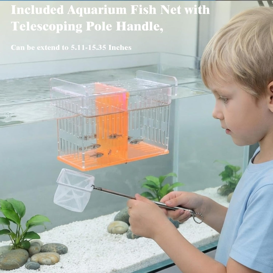 Fish Tank Divider & Breeder Box, Acrylic Aquarium Isolation Hatchery
