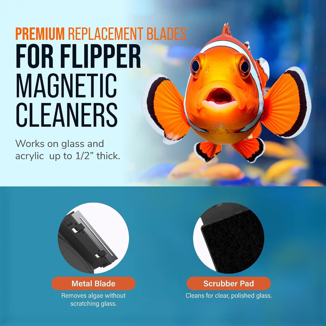 Flipper Standard Algae Scraper Replacement Blades, Stainless Steel