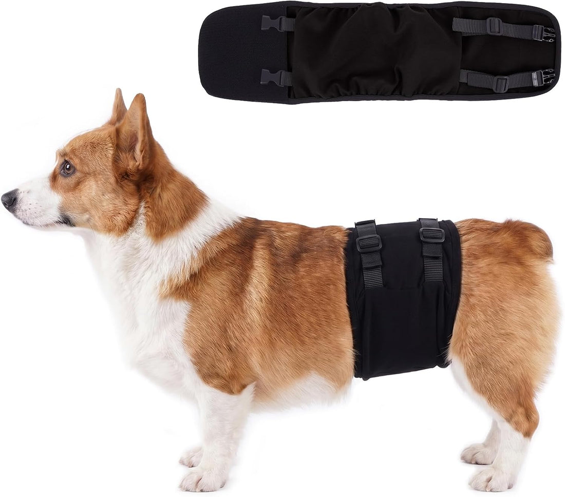 DENTRUN Male Dog Wrap, Adjustable Belly Band Leak-Proof & Lick