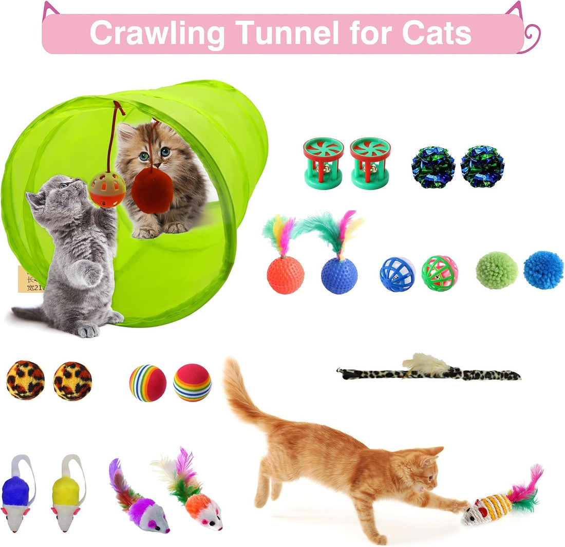 BERXOL 47PCS Kitten Essentials Starter Kit