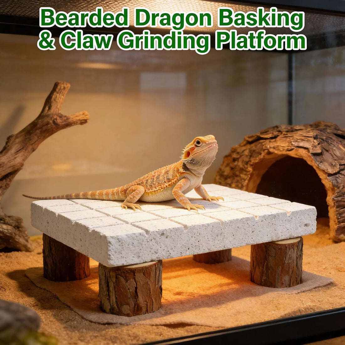 Bearded Dragon Tank Accessories Shedding Rock Reptile Basking Platform
