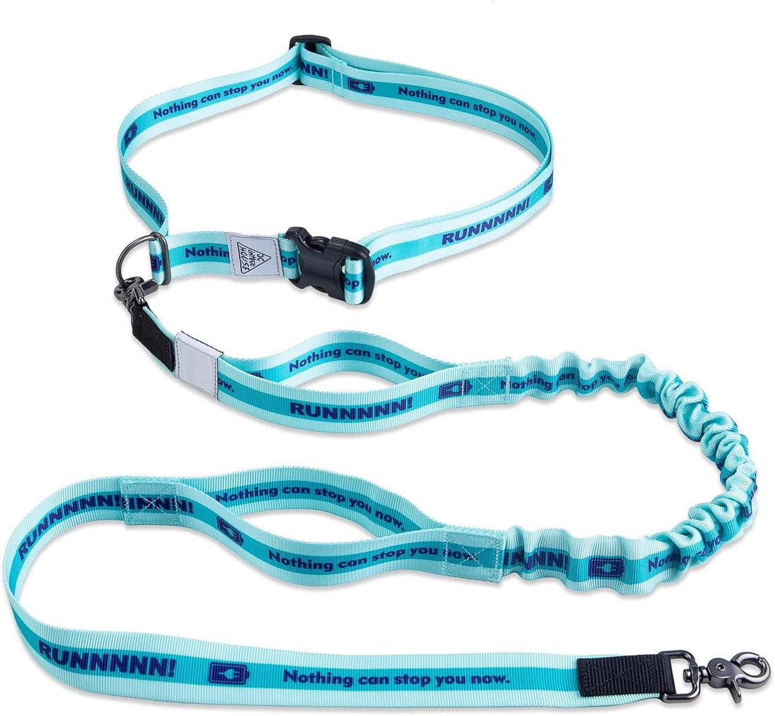 Hands Free Dog Leash,Waist Belt, Shock Absorbing Bungee, Dual Handles