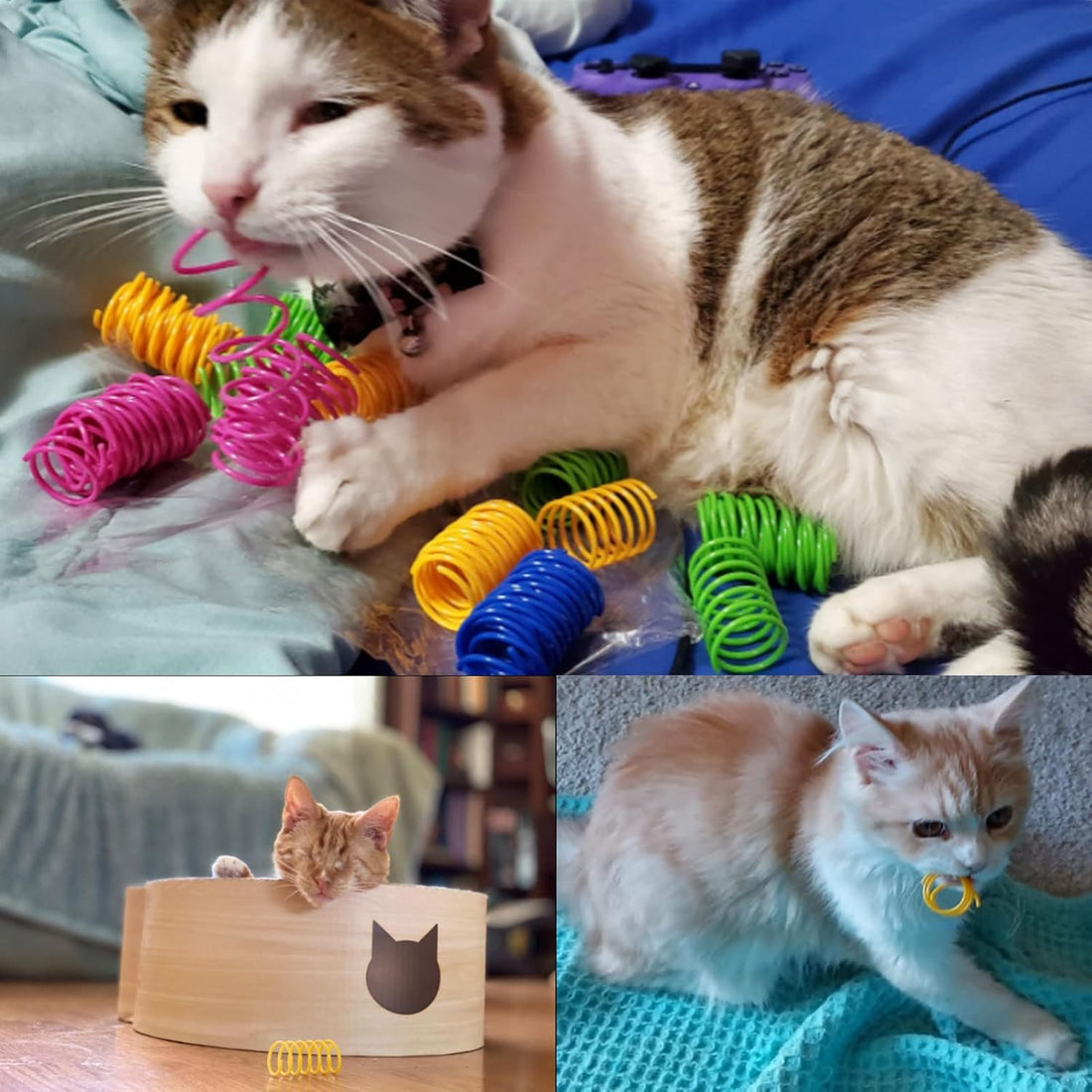 ISMARTEN 100 Pack Pet Wide Colorful Springs Cat Toys Plastic Coil