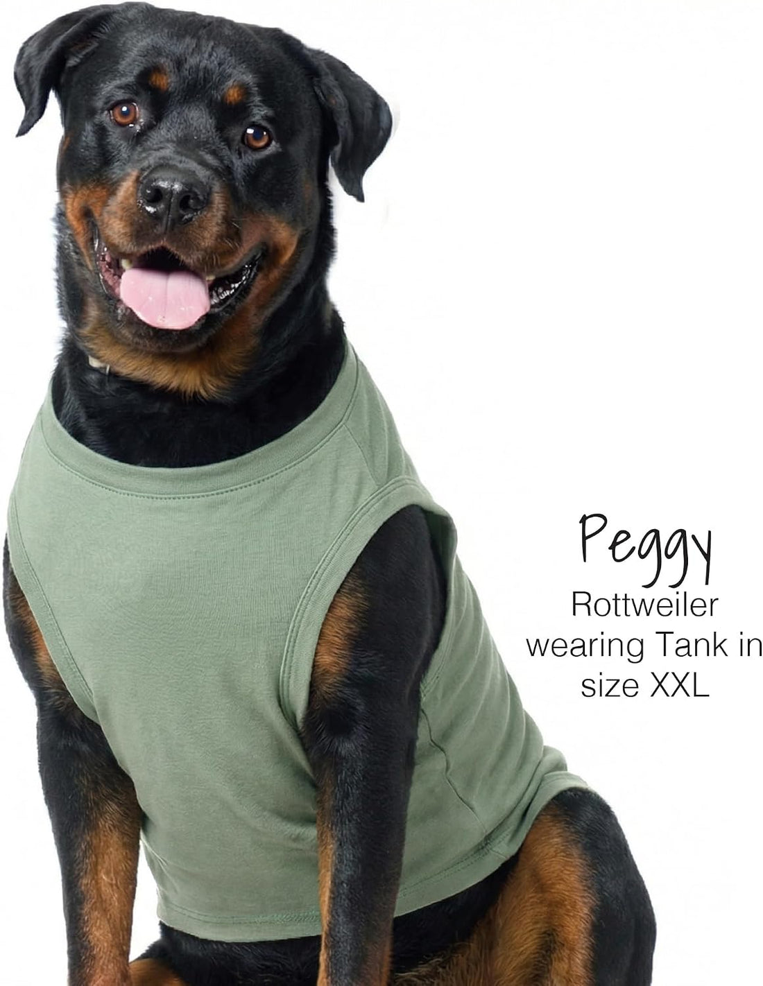 Pet Passion Tank Dog T-Shirt, Sleeveless, 3 Pack