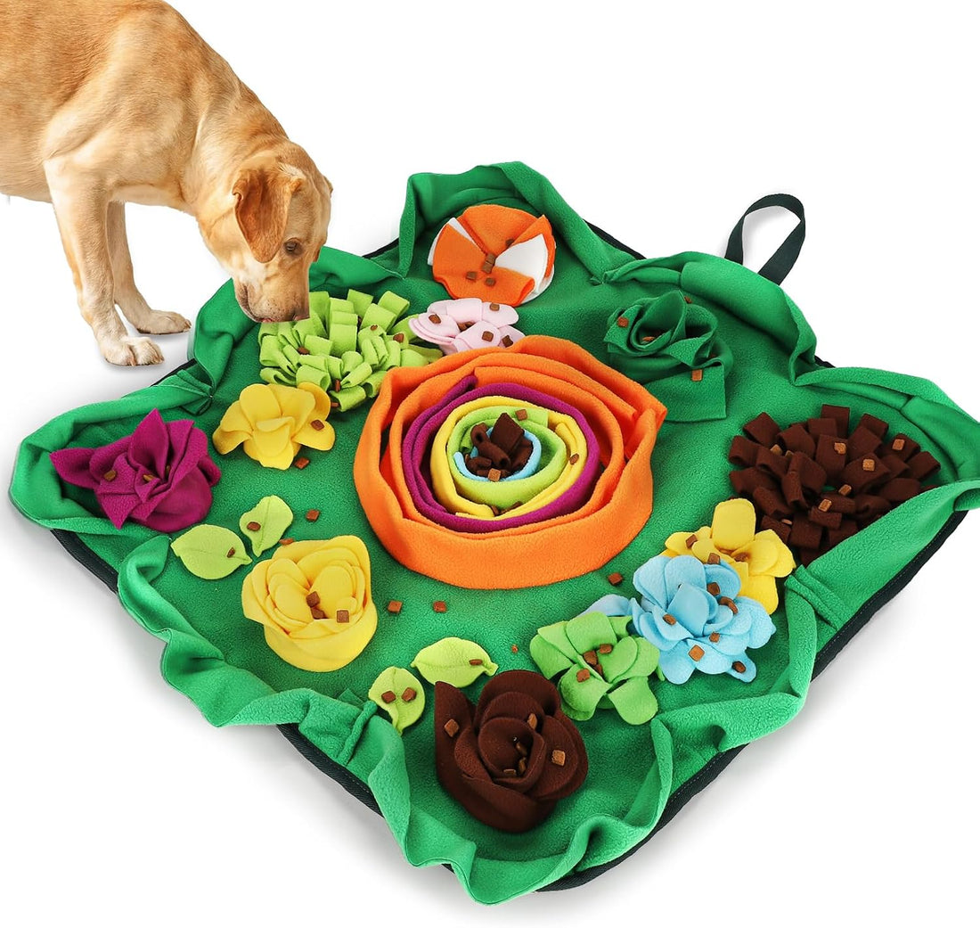 Vextronic Snuffle Mat for Dogs, Large Dogs Slow Feeder