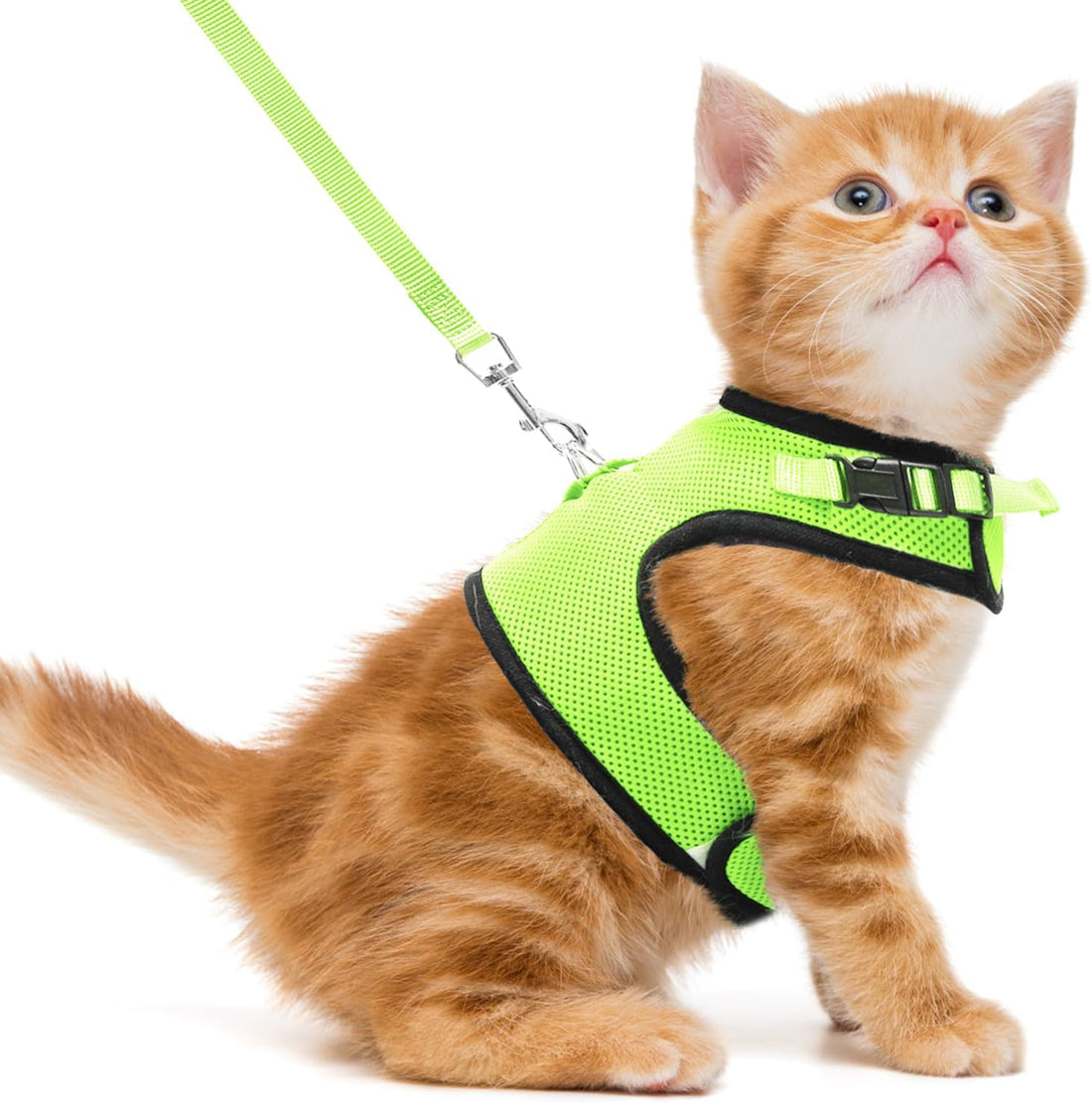 PUPTECK Soft Mesh Cat Vest Harness and Leash Set Puppy Padded Pet