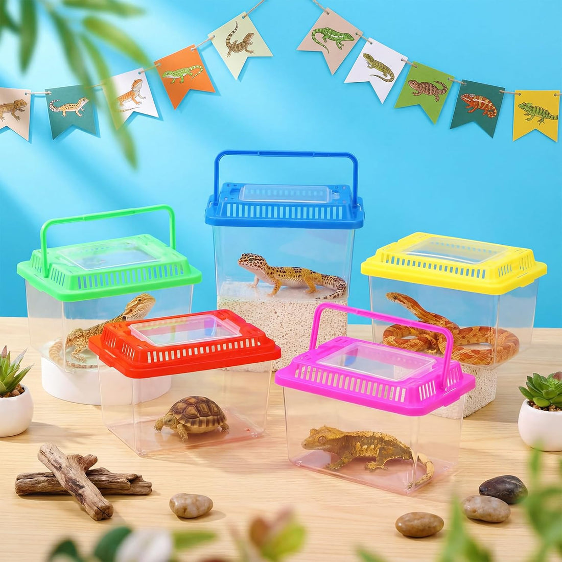 LemonRoad 25 Pcs Plastic Reptile Terrariums,Classic,5.1x3.5x3.5 Inch