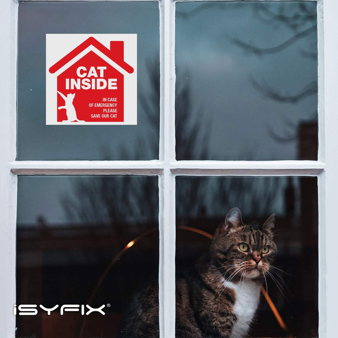 iSYFIX Cat Inside Alert Signs Stickers, 5x5 Inch, 4 Pack