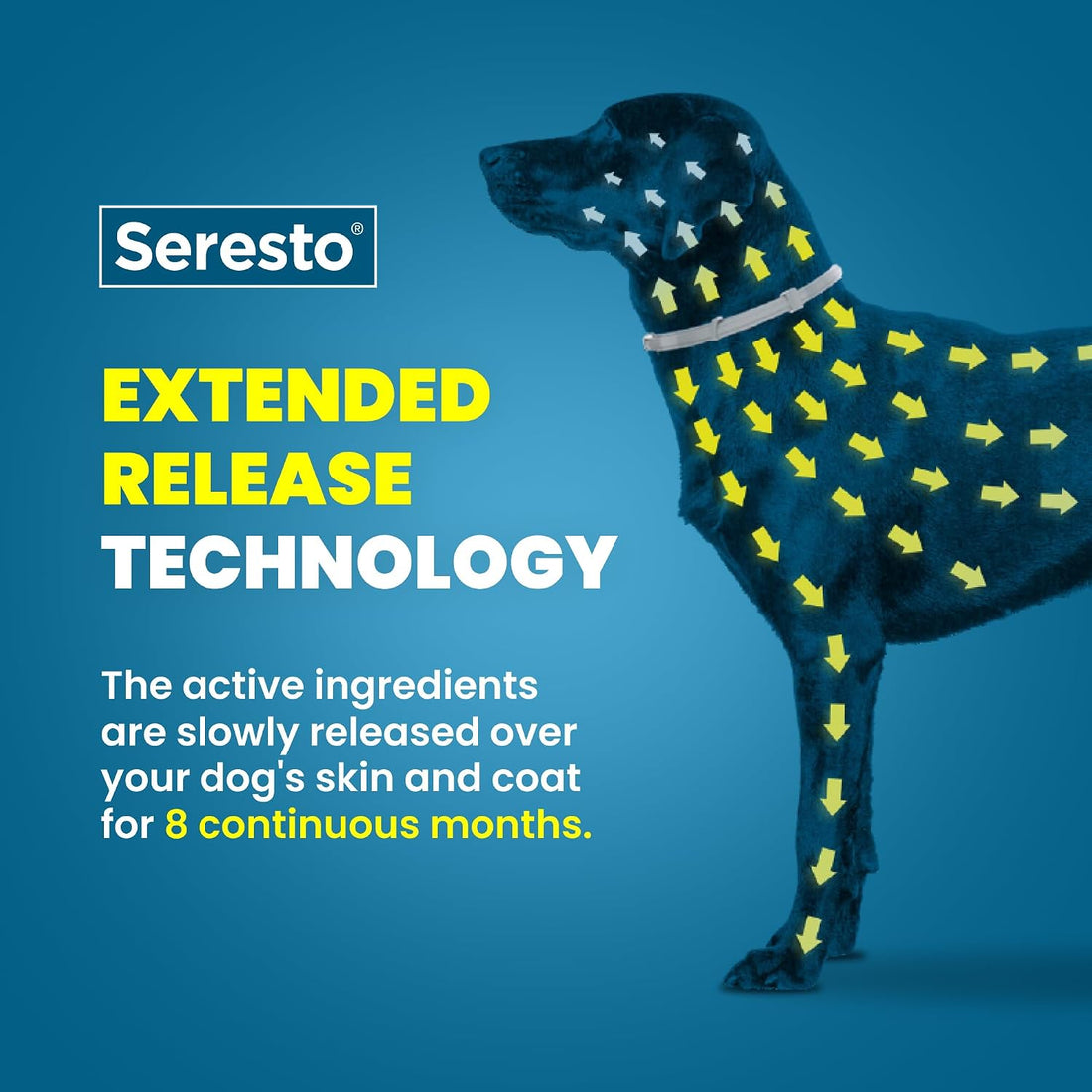 Seresto Small Dog Vet-Recommended Flea & Tick Treatment & Prevention