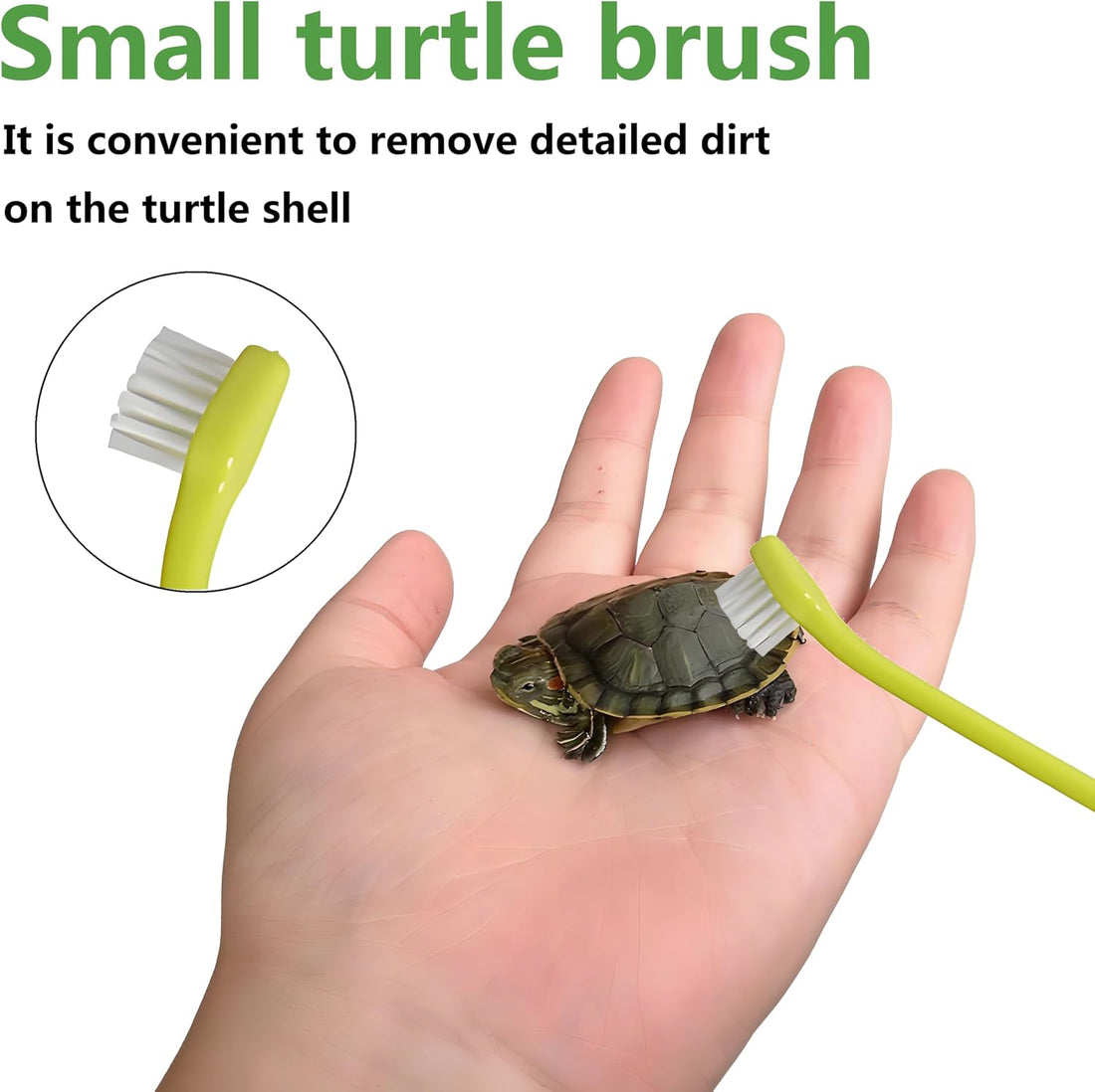 Turtle Brush with Suction Cup-Tortoise Shell Cleaner&Scratch Tool