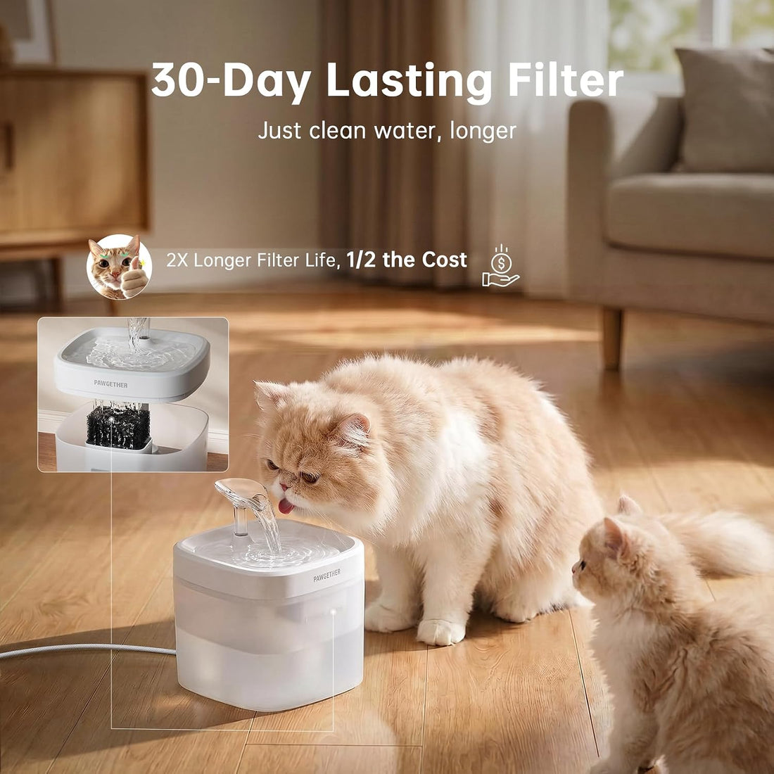 PAWGETHER® Cat Water Fountain with Magnetic Pump 51oz/1.5L Dog Water