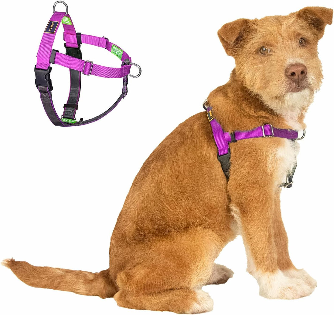 Easy Walk No Pull Dog Harness