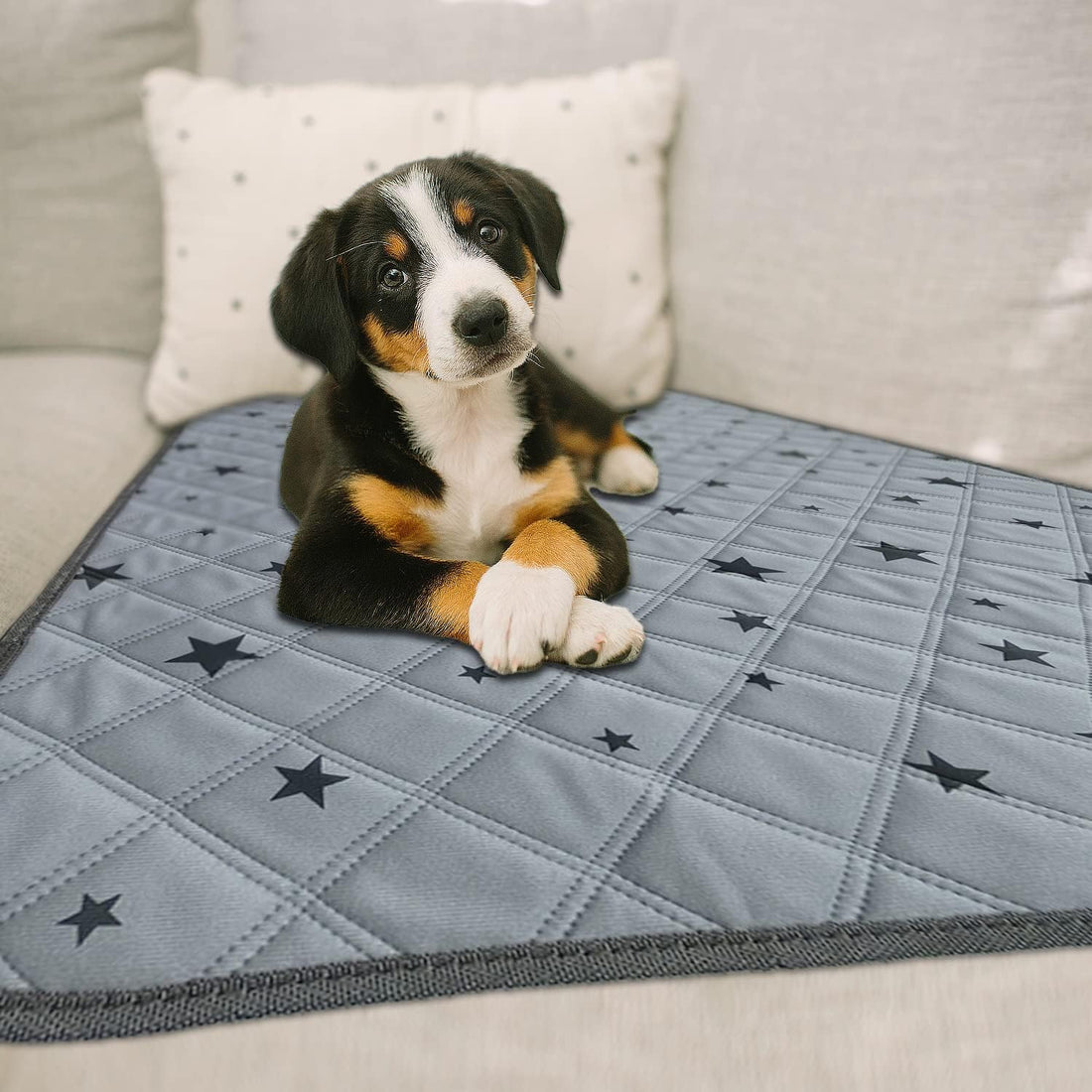RIOUSSI Reusable Pee Pads for Dogs, Puppies. Washable, Absorbent