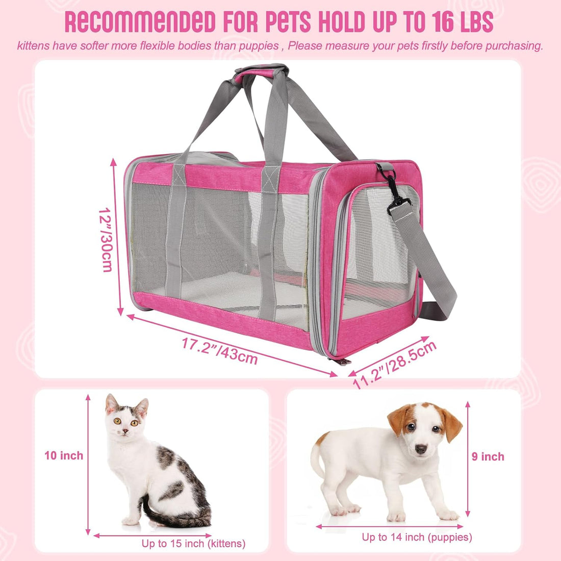 Pet Carrier for Large Cats of 20 Lbs