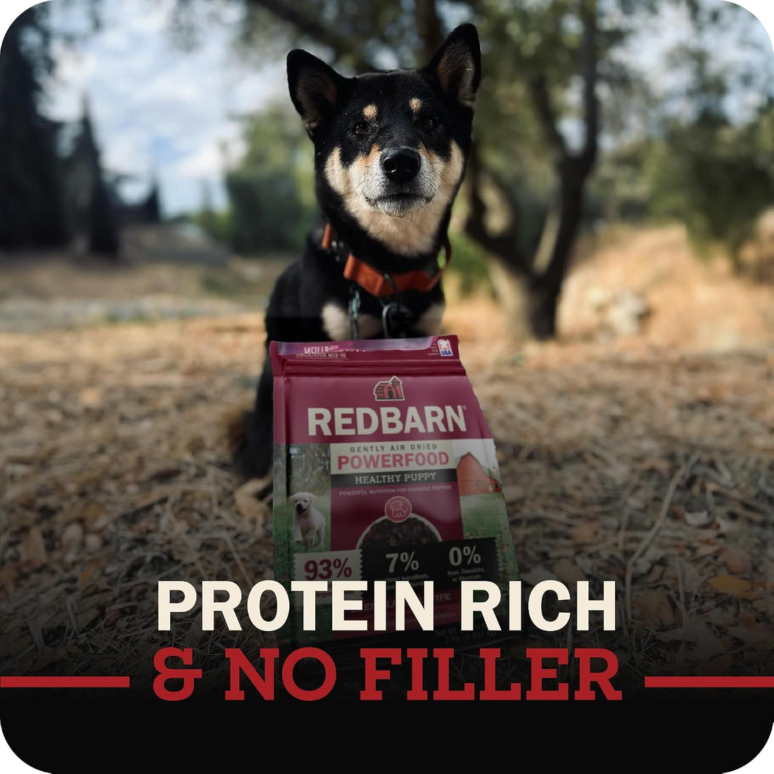 Redbarn Puppy Powerfood Air Dried Dog Food or Dry Topper, Beef & Lamb