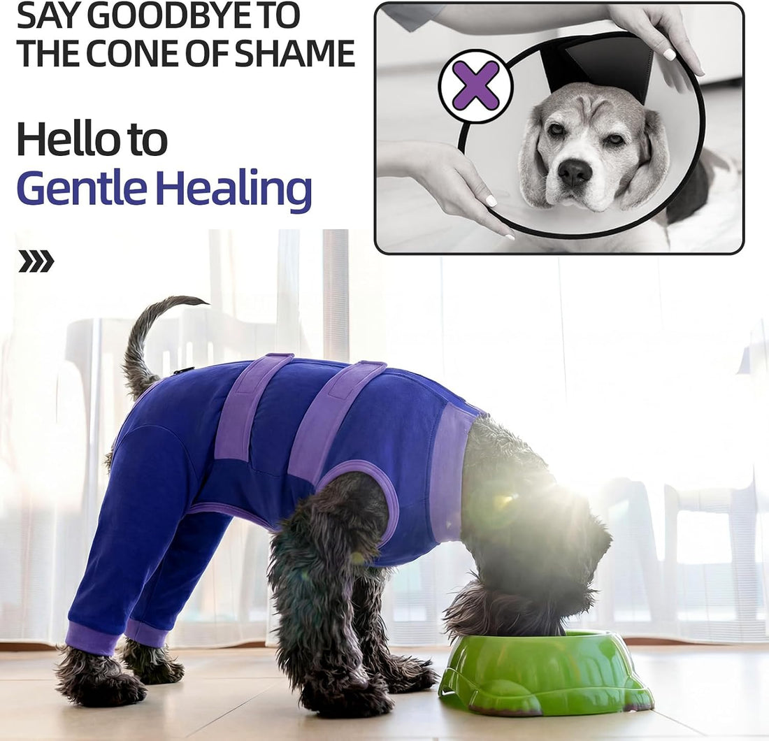 Lelepet Dog Surgery Recovery Suit, Pants for Dogs