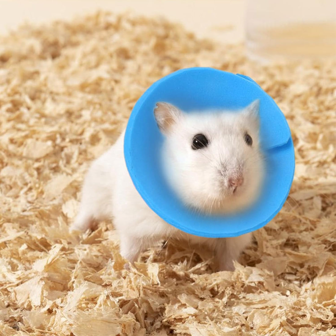 3 Pcs Adjustable Recovery Bird Cone Collar,Hamster Elizabeth Collar