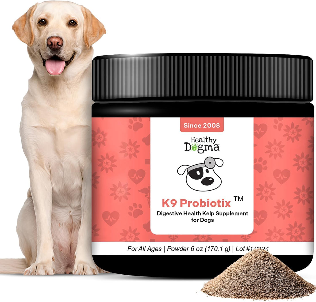 Flee Flea Flee Natural Yeast & Garlic Powder Formula for Dogs