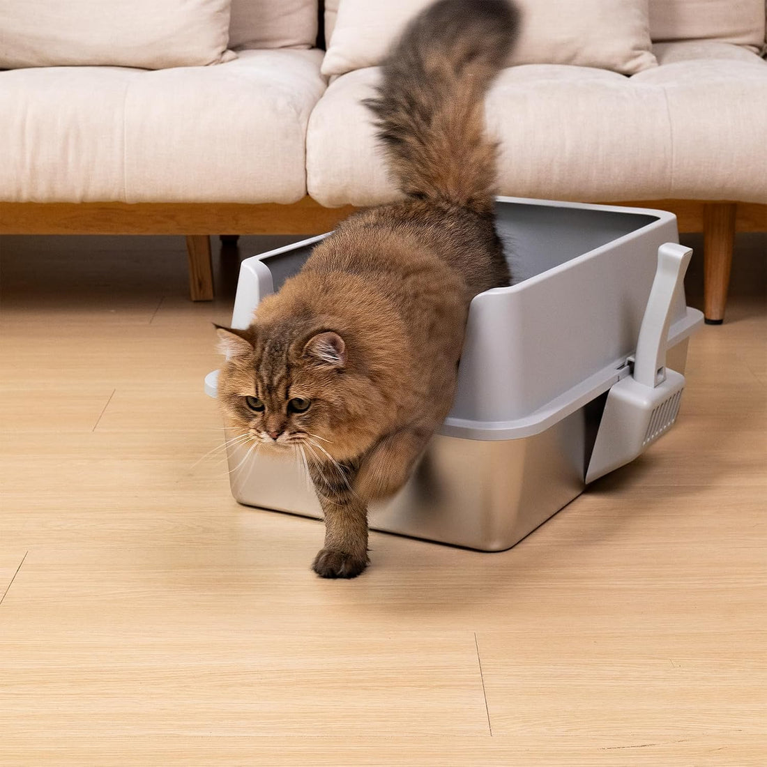 XL Stainless Steel Litter Box with Lid, Extra Large Cat Litter Box
