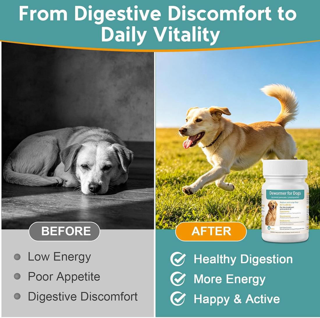 Dewormer for Dogs, Broad-Spectrum Dog Dewormer for Tapeworms